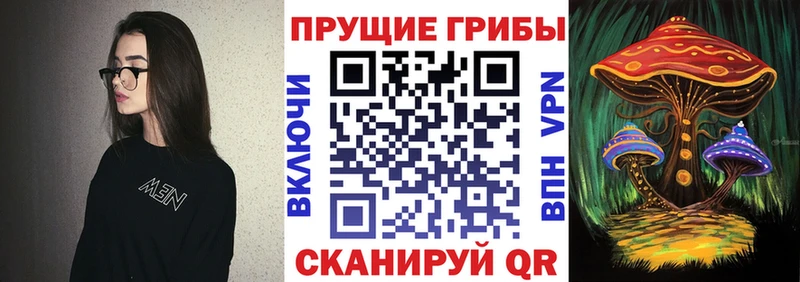 Галлюциногенные грибы Psilocybine cubensis  что такое   площадка телеграм  Звенигово 